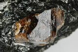 Fluorescent Zircon Crystals in Biotite Schist - Norway #175861-3